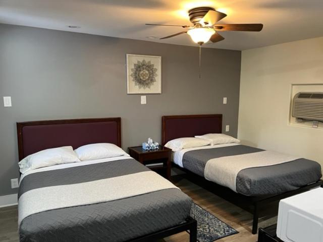 Nightshade Inn & Gardens Camillus Εξωτερικό φωτογραφία